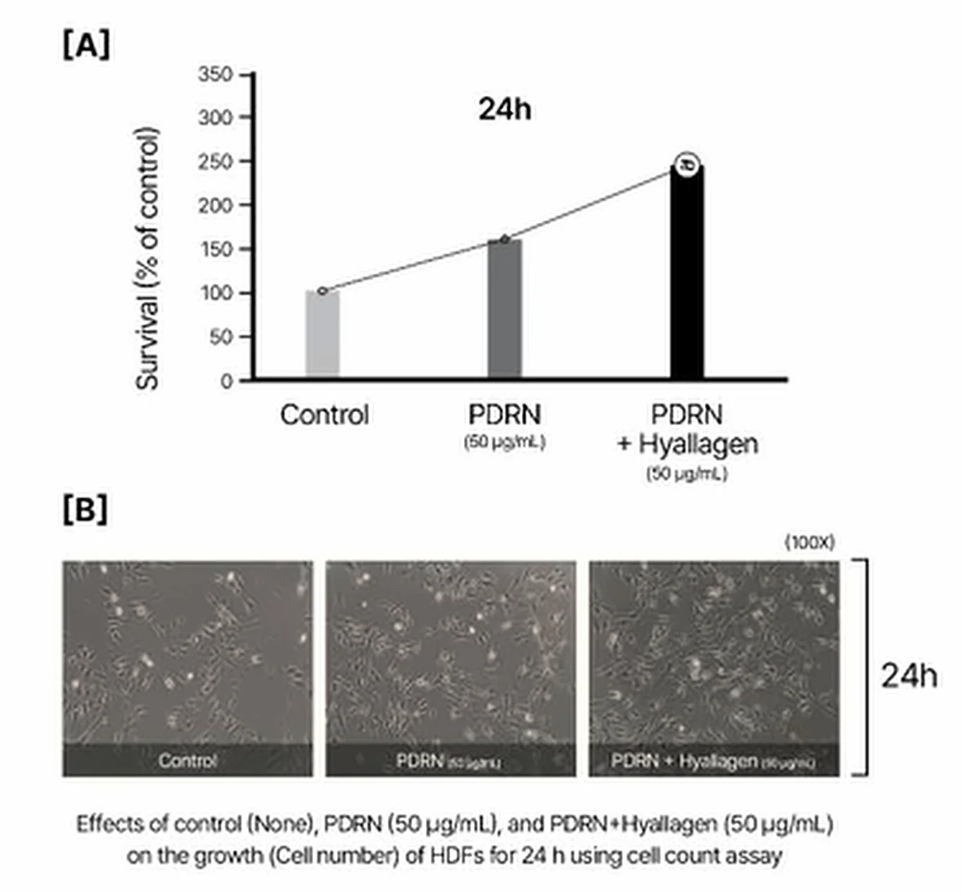 대조군, PDRN, PDRN과 HYALLAGEN 조합의 24시간 HDF 상대 세포 수와 대표 세포 이미지를 보여 주는 사내 시험 슬라이드